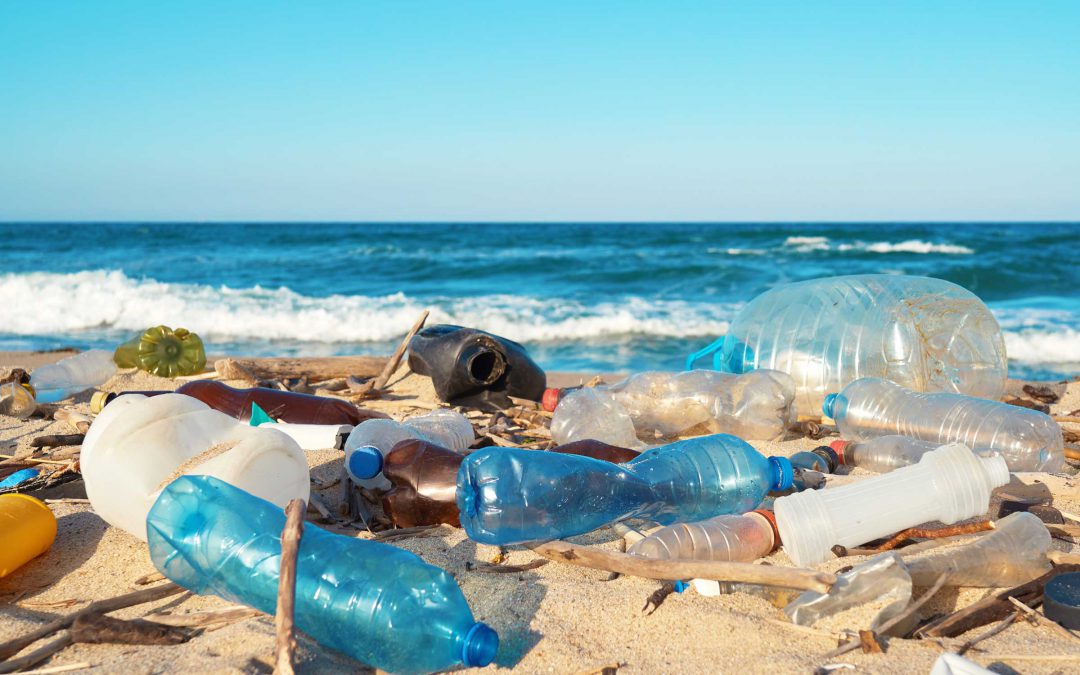 Ocean Friendly: How to Keep Oceans Plastic Free